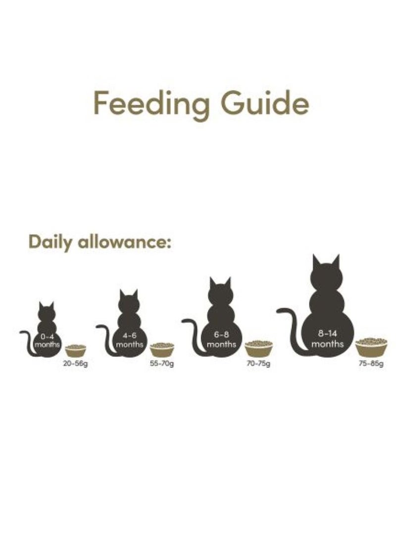 Applaws Cat Senior Dry Food, Chicken 2KG - Image 4