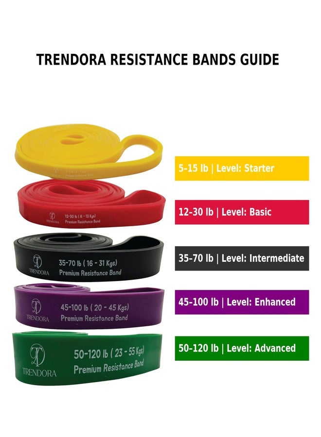 TRENDORA Premium Resistance Bands Set of 5, Exercise Bands, Workout Bands Set for Working Out with Handles for Men Women- Includes 2 Handles,2 Hooks,Storage Bags - Image 2