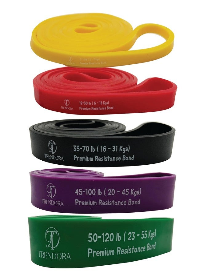 TRENDORA Premium Resistance Bands Set of 5, Exercise Bands, Workout Bands Set for Working Out with Handles for Men Women- Includes 2 Handles,2 Hooks,Storage Bags - Image 5