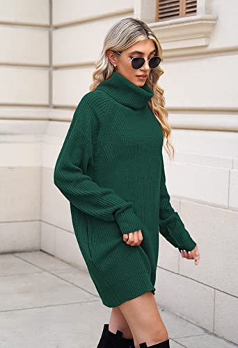 Pink Queen Women's Loose Turtleneck Oversize Long Pullover Sweater Dress Dark Green L - Image 3