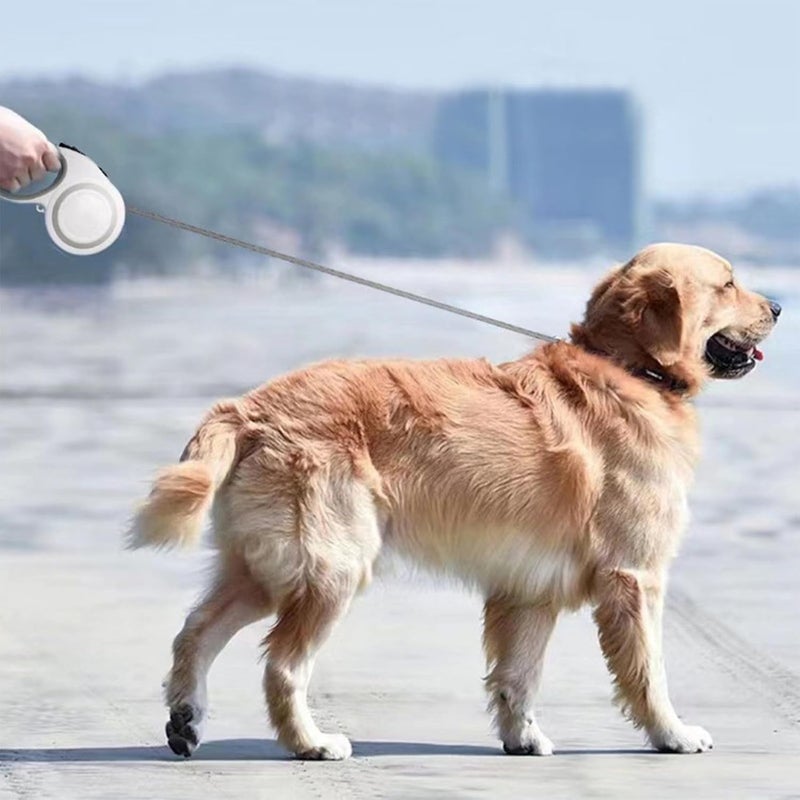 RASOFAB Zwerlin Retractable Dog Leash - 16 Feet Quick-Lock Nylon Tape Dog Chain - 360? Tangle-Free, Anti-Slip Cat & Dog Rope - Small, Medium, Large (Up to 110Lbs/50Kg), Black, 5M - Image 2