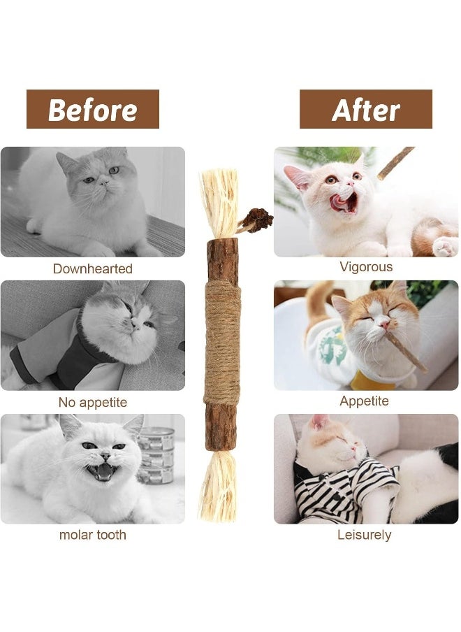 Mumoo Bear Mumoo Bear Silvervine Chew Sticks, Kitten Teething Toys Natural Cat Teeth Nip Cleaning Teeth Chew Catnip Chew Toys for Indoor Cat Teeth Cleaning Kitten Teething and Stress Release  - Image 4