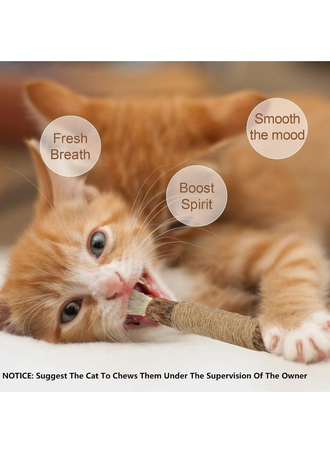 Mumoo Bear Mumoo Bear Silvervine Chew Sticks, Kitten Teething Toys Natural Cat Teeth Nip Cleaning Teeth Chew Catnip Chew Toys for Indoor Cat Teeth Cleaning Kitten Teething and Stress Release  - Image 2