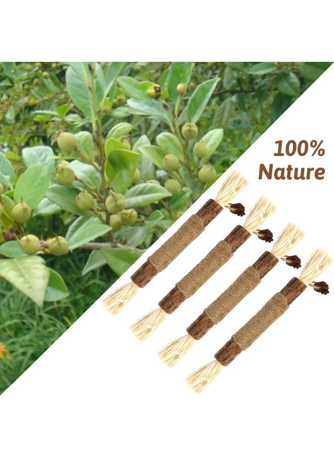 Mumoo Bear Silvervine Chew Sticks, Kitten Teething Toys Natural Cat Teeth Nip Cleaning Teeth Chew Catnip Chew Toys for Indoor Cat Teeth Cleaning Kitten Teething and Stress Release
