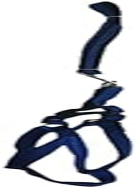 Soft Padded Heavy Duty Leash and Harness For Dogs and Cats Coated and Padded From the Inside for Small and Medium Breeds with confortable Handle Coated for Easy to Grip Anti Slider (Blue and Black)