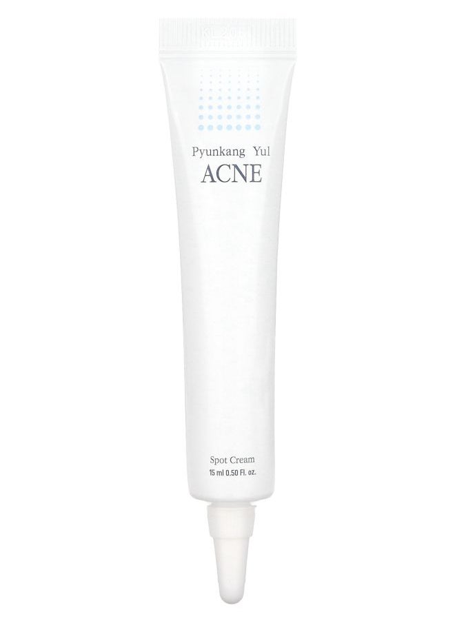 PYUNKANG YUL - ACNE Spot Cream 0.5 fl oz (15 ml) - Image 1
