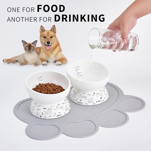 Howise Ceramic Raised Cat Bowl Set | Elevated Food and Water Bowls for Cats and Small Dogs | 2 Pack Tilted With Anti-Slip Silicone Mat (Gray) - Image 5