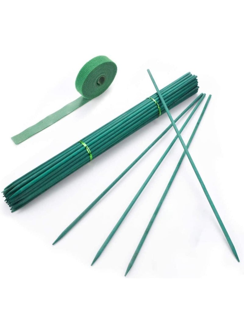 60 Pcs Garden Stakes Green Bamboo Sticks, Wooden Plant Support Sticks, Sturdy Floral Plant Support Stakes, with Garden Ties and Nylon Plant Tie Strap, Suitable for Garden - Image 1