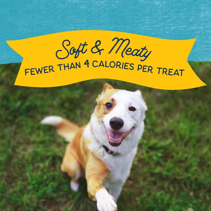 Natural Balance Limited Ingredient Mini-Rewards Turkey Grain-Free Dog Training Treats for Dogs | 5.3-oz. Canister - Image 5