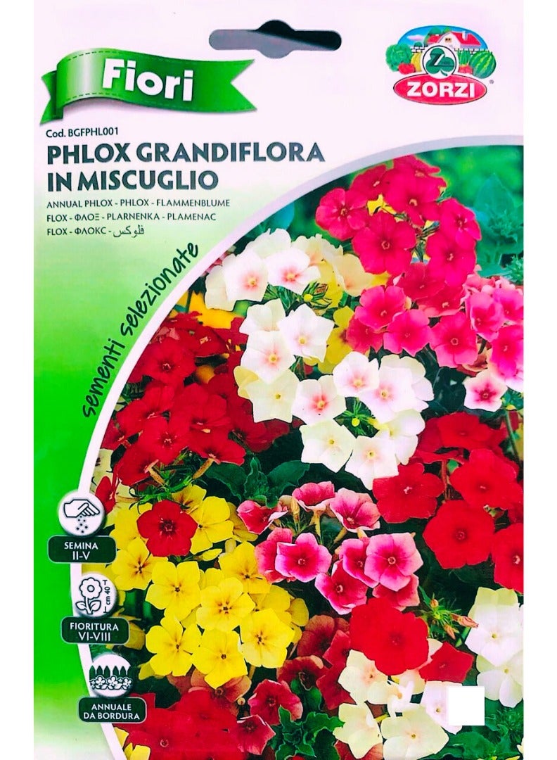 ZORZI Phlox Seeds
