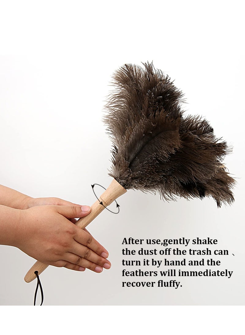 SYOSI Ostrich Feather Duster, 16 inch Fluffy Natural Genuine Ostrich Feathers with Wooden Handle and Eco-Friendly Reusable Handheld Ostrich Feather Duster for Cleaning Supplies  - Image 4