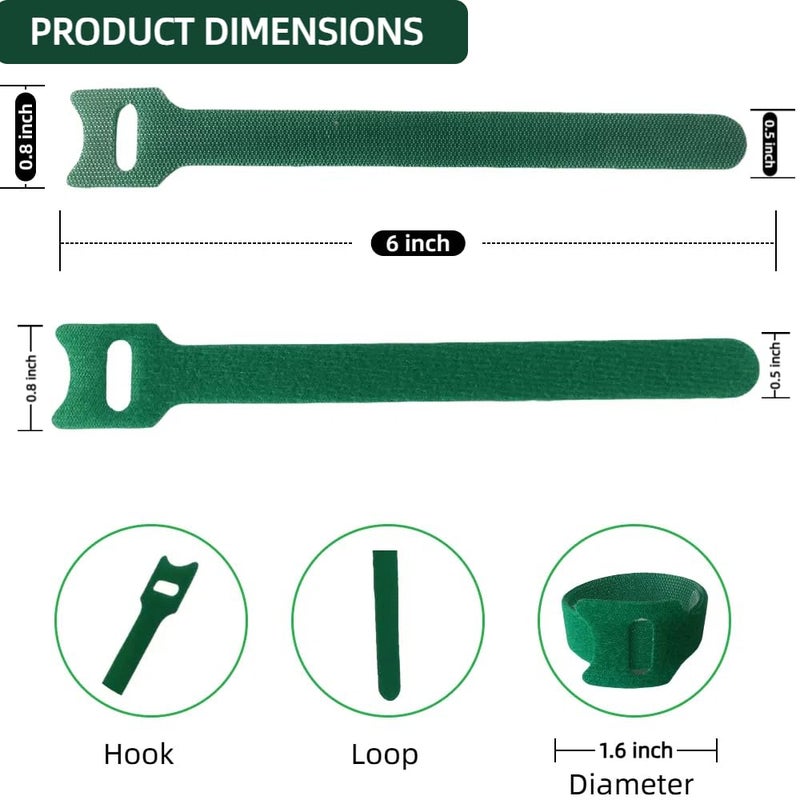 CHZKVOY, Green, Reusable, 100PCS, 6 - Inch Adjustable Anti - Slip Nylon Plant Ties & Straps Featuring Hook and Loop Fasteners - Optimal for Climbing Plants Support and Christmas Garland Ties - Image 3