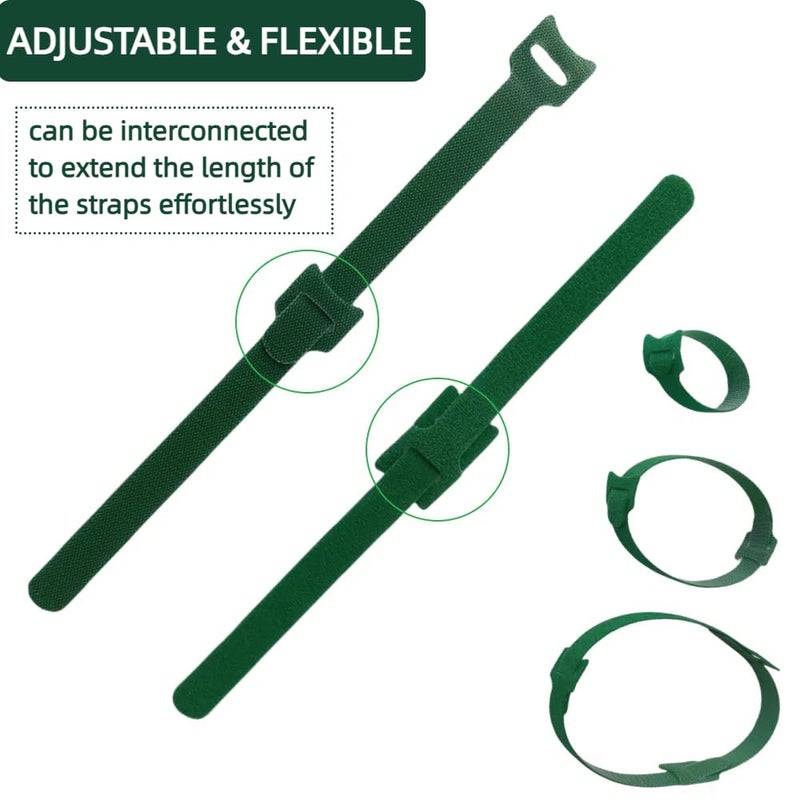 CHZKVOY, Green, Reusable, 100PCS, 6 - Inch Adjustable Anti - Slip Nylon Plant Ties & Straps Featuring Hook and Loop Fasteners - Optimal for Climbing Plants Support and Christmas Garland Ties - Image 4