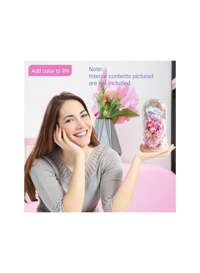 The Bros 7" x 4" Glass Display Cloche Dome with Solid Wood Base Large Size Office Home Decoration - Image 5