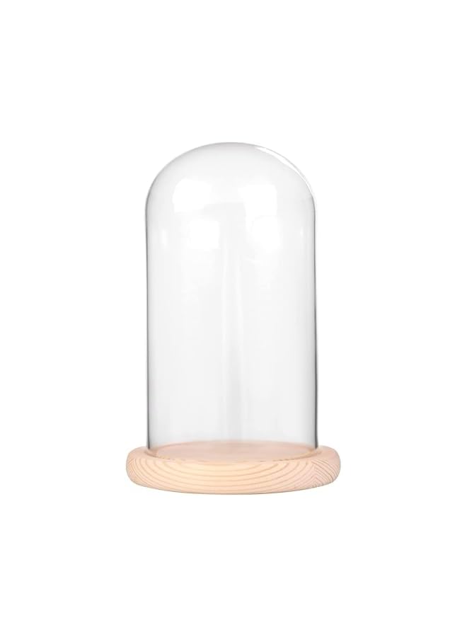 The Bros 7" x 4" Glass Display Cloche Dome with Solid Wood Base Large Size Office Home Decoration - Image 2