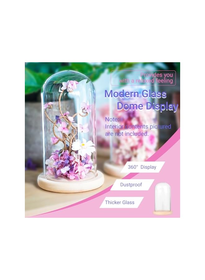 The Bros 7" x 4" Glass Display Cloche Dome with Solid Wood Base Large Size Office Home Decoration - Image 3