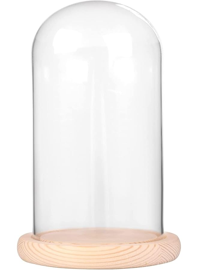 The Bros 7" x 4" Glass Display Cloche Dome with Solid Wood Base Large Size Office Home Decoration - Image 1