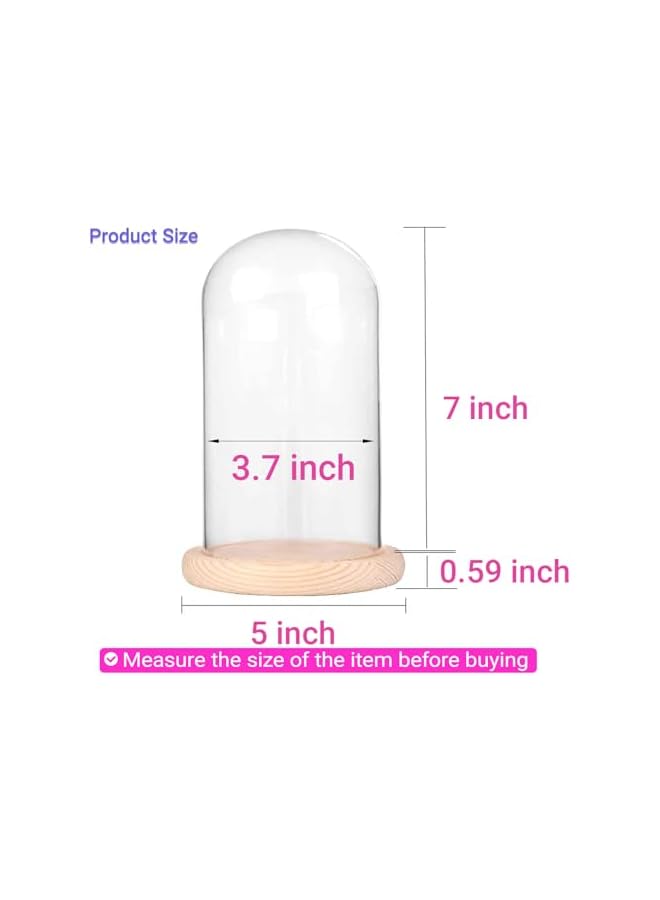 The Bros 7" x 4" Glass Display Cloche Dome with Solid Wood Base Large Size Office Home Decoration - Image 4