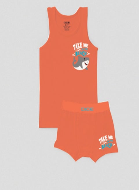 Boy Printed Underwear Set