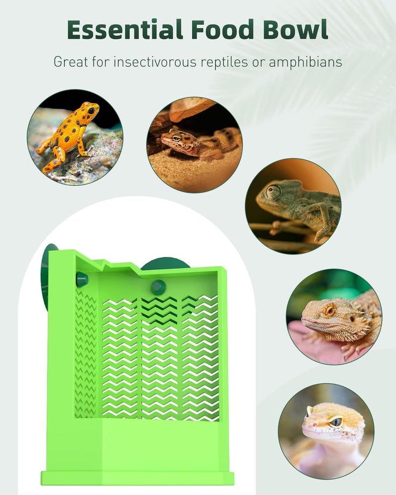 Pawfly Bearded Dragon Feeder - Escape-Proof Corner Reptile Food Box, Wall-Mounted with Suction Cups for Insects - Bug Bowl for Lizards, Geckos, Chameleons & Frogs - Image 2