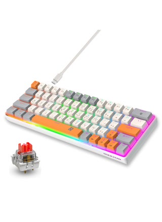 Multicolor 63RS