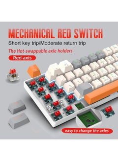 Rock Pow ROCK POW 60% Arabic English Mechanical Gaming Keyboard 63keys RGB Backlit Ultra-Compact Mini Keyboard Waterproof Mini Compact Keyboard for PC/Mac Gamer, TypistTrip Hot Swappable Red Switch  - Image 2