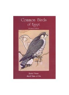 Common Birds Of Egypt 