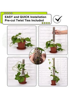Generic Moss Pole, Coconut Moss Pillar Set of 2 Plant Stakes and Stands, with Ground Hemp Rope for Indoor Climbing Plants Upward Growth (White, 27cm)  - Image 5