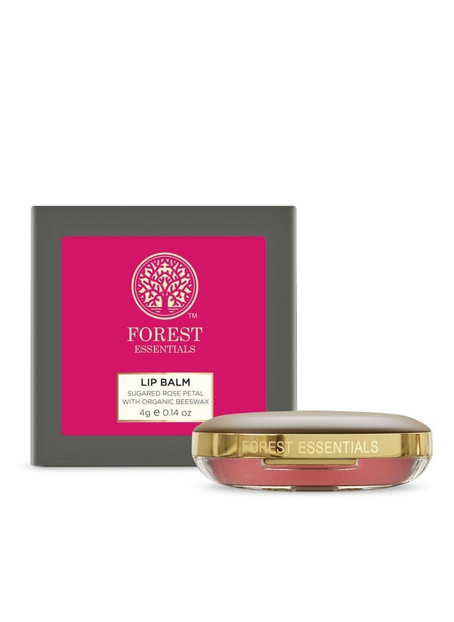 Forest Essentials Luscious Lip Balm Sugared Rose Petal | Ideal For Moisturizing Dry & Chapped Lips | Natural Lip Balm To Soften & Moisturize Lips With Glossy Finish | For Men & Women | 4 G  - Image 1