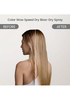 COLOR WOW Speed Dry Blow-Dry Spray, 5 Fl Oz - pzsku/Z1AEC29031254D335F101Z/45/1741252004/de728880-06f8-4b04-9288-9324f86b327c