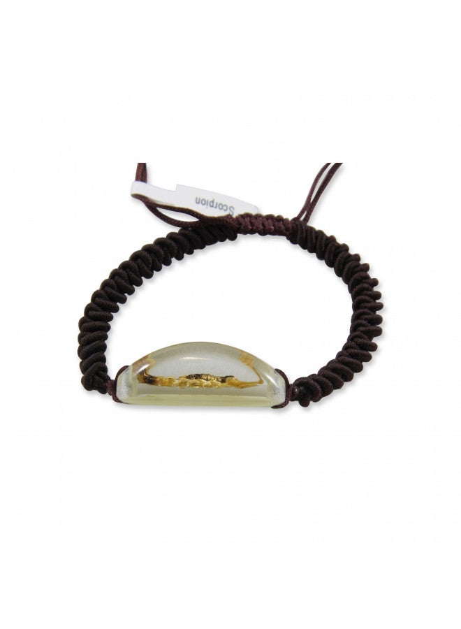 REALBUG Gold Scorpion Bracelet, Glow in The Dark, 10 inches - Image 4