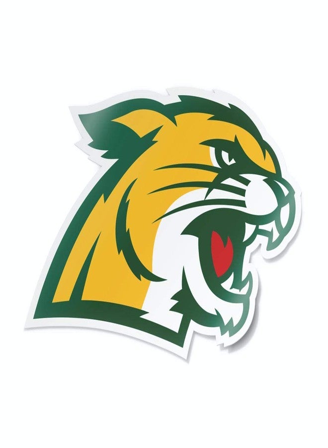 Nudge Printing Northern Michigan Sticker NMU Wildcats Heavy-Duty Waterproof Decal for Cars, Windows, Laptops, Water Bottles, and Coolers (Northern Michigan University) - Image 1