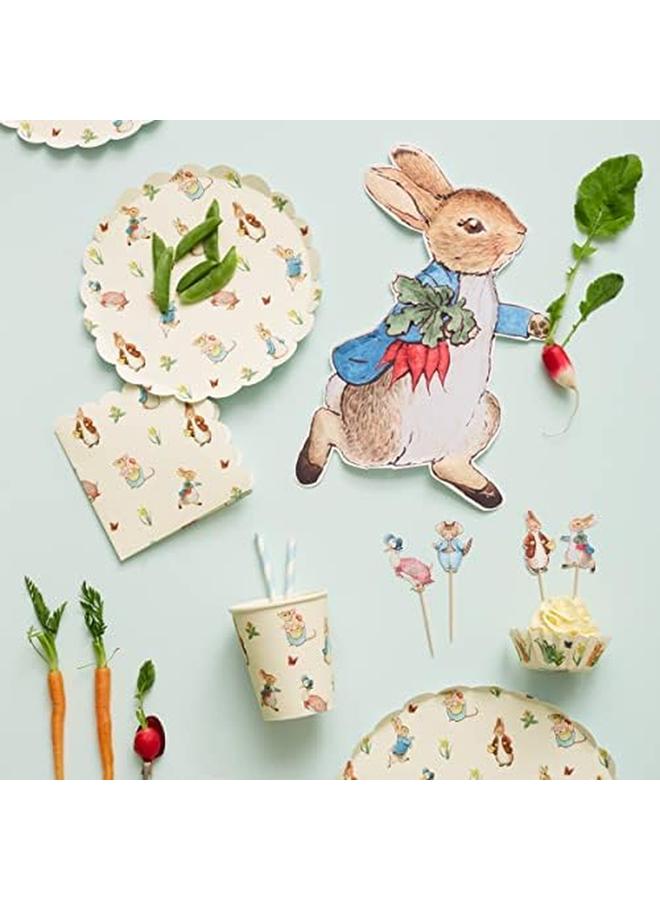 ميري ميري أطباق ورقية من بيتر رابيت، لوازم حفلات للاستعمال مرة واحدة لحفلات أعياد الميلاد وحفلات استقبال الأطفال واحتفالات الزفاف، مقاس كبير 9 - Image 2