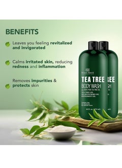 Botanic Hearth Botanic Hearth Tea Tree Body Wash, Helps Nail, Athletes Foot, Ringworms, Jock Itch, Acne, Eczema & Body Odor, Soothes Itching & Promotes Healthy Skin and Feet, Naturally Scented,16 fl oz 2 Pack  - Image 2