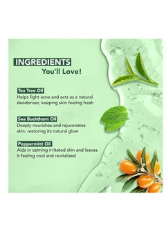 Botanic Hearth Botanic Hearth Tea Tree Body Wash, Helps Nail, Athletes Foot, Ringworms, Jock Itch, Acne, Eczema & Body Odor, Soothes Itching & Promotes Healthy Skin and Feet, Naturally Scented,16 fl oz 2 Pack  - Image 3