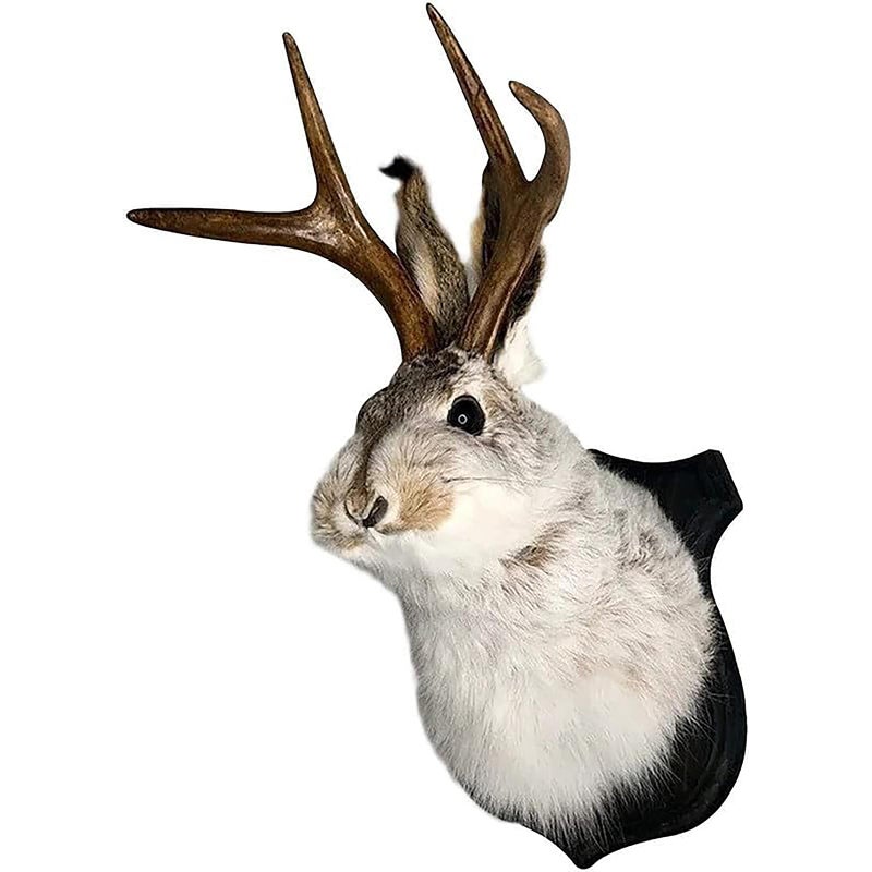 HSOSK Jackalope Mount, Jackalope Taxidermy, Animal Head Wall Decor, Deer Head Wall Mount, Resin Deer Head Animal Wall Mount,for Home Wall Decoration - Image 1