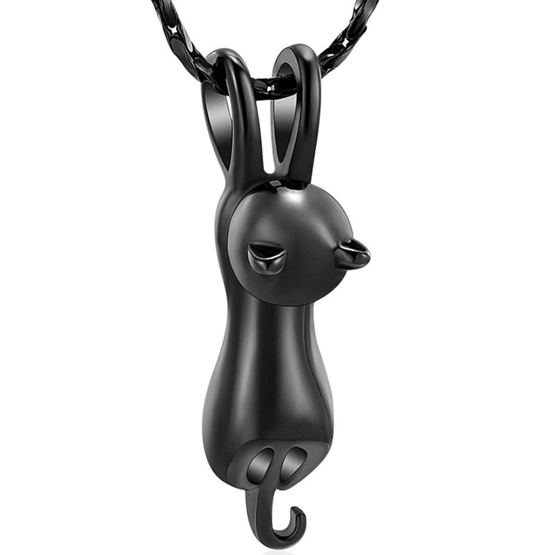 Imrsanl Pet Cremation Jewelry for Ashes Memorial Ash Jewelry Keepsake Cat Urn Pendants for Animal Ashes Necklace (Black) - Image 1