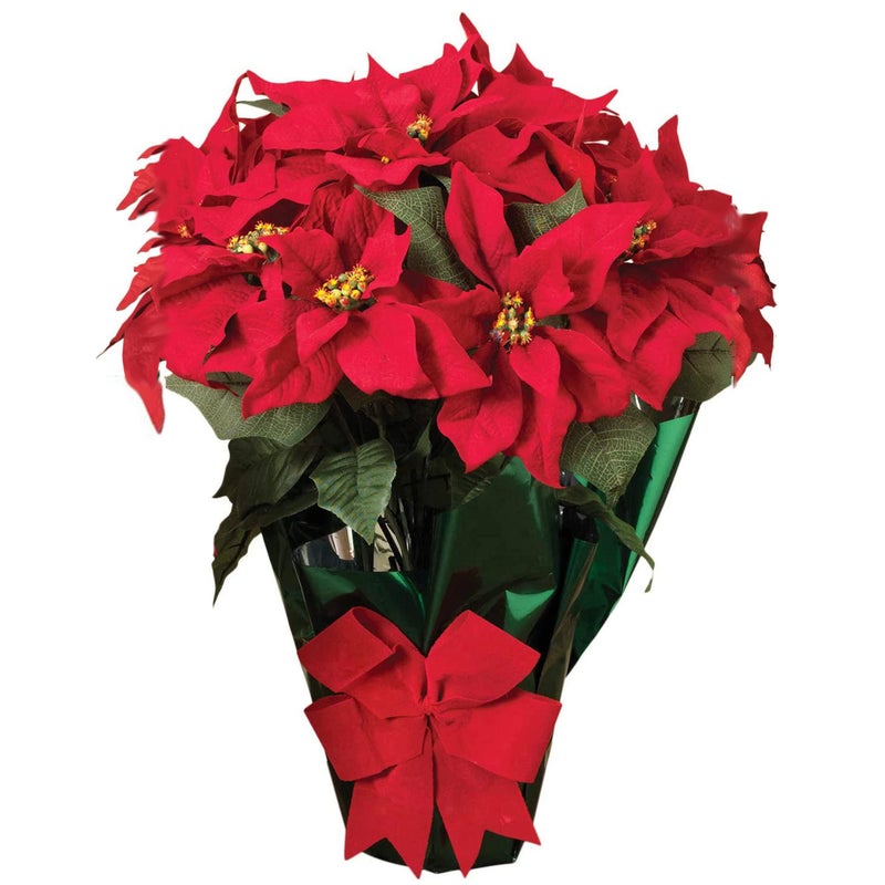 TenWaterloo نبات بونسيتيه أحمر مزروع في وعاء TenWaterloo AC 22 مع 10 زهور وقوس زخرفي