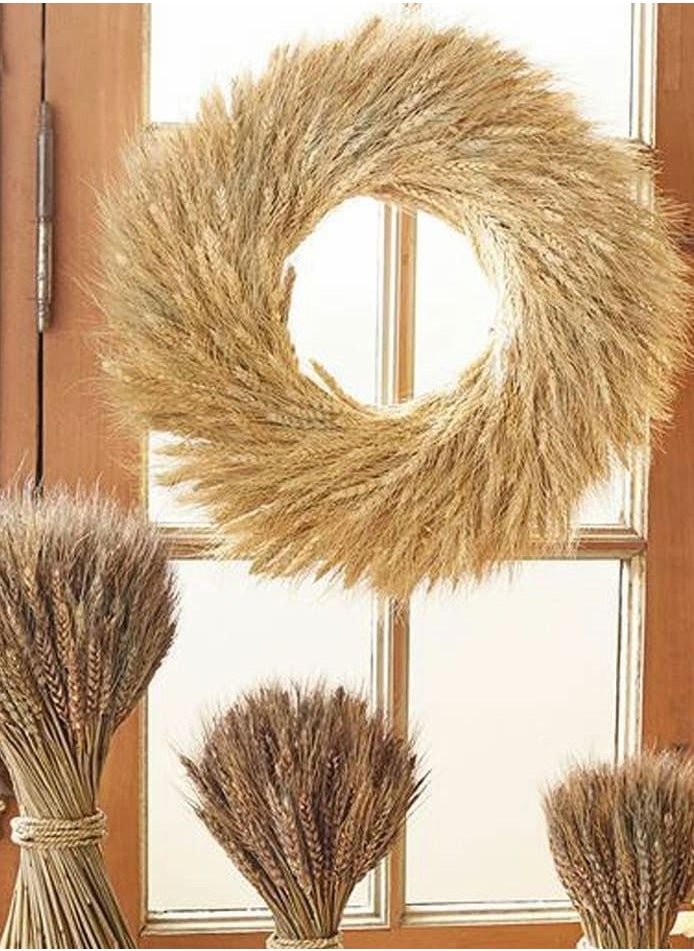 HomarKet 100 Pieces Dried Natural Wheat Sheave Bundle Premium Fall Arrangements with Natural Laces Burlap Craft Lace Ribbon Roll for DIY Design  - Image 5