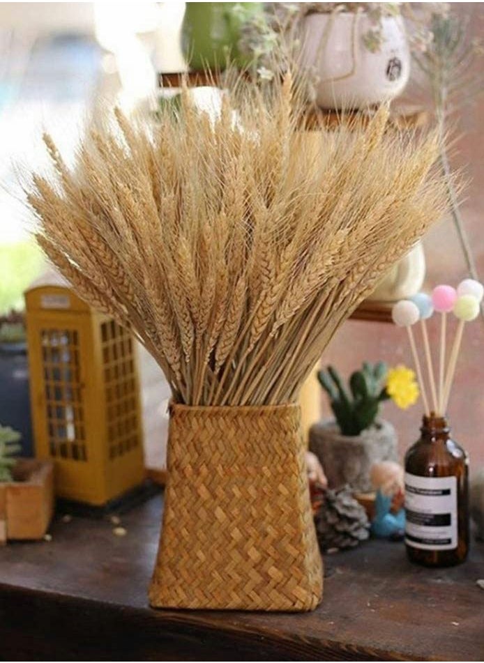 HomarKet 100 Pieces Dried Natural Wheat Sheave Bundle Premium Fall Arrangements with Natural Laces Burlap Craft Lace Ribbon Roll for DIY Design  - Image 4