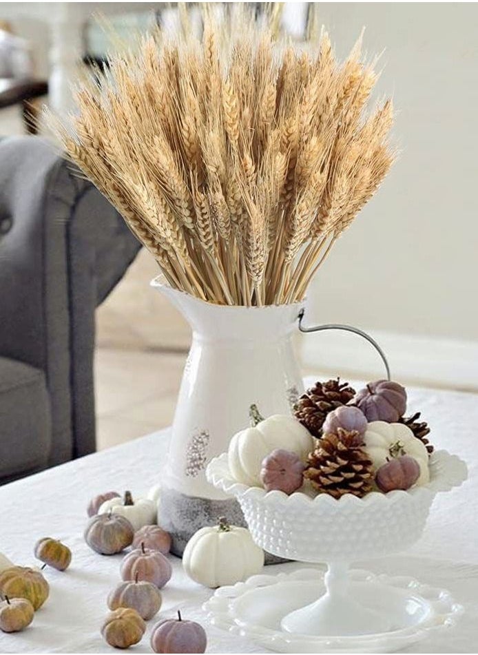 HomarKet 100 Pieces Dried Natural Wheat Sheave Bundle Premium Fall Arrangements with Natural Laces Burlap Craft Lace Ribbon Roll for DIY Design  - Image 1