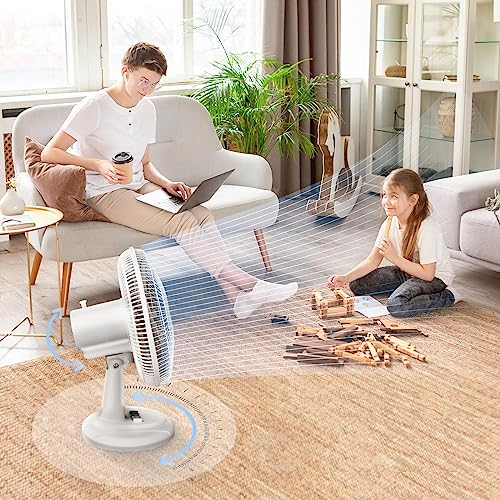 BEYOND BREEZE Oscillating Table Fan Quiet 3-Speed 12-Inch Adjustable Tilt Fan with Safety Grill, Ideal for Home, Office, Dorm - Image 4