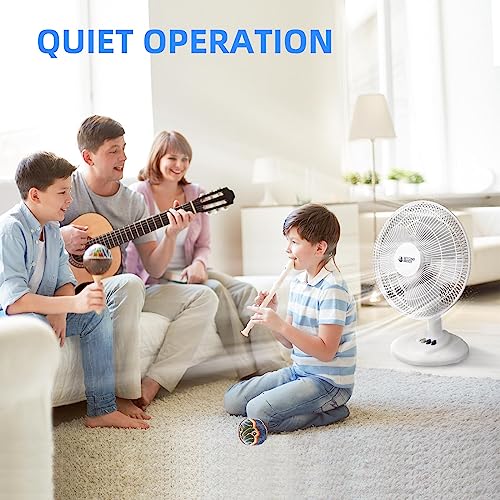 BEYOND BREEZE Oscillating Table Fan Quiet 3-Speed 12-Inch Adjustable Tilt Fan with Safety Grill, Ideal for Home, Office, Dorm - Image 5