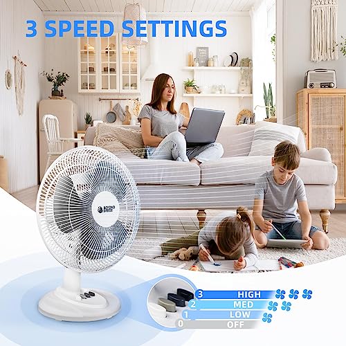 BEYOND BREEZE Oscillating Table Fan Quiet 3-Speed 12-Inch Adjustable Tilt Fan with Safety Grill, Ideal for Home, Office, Dorm - Image 3