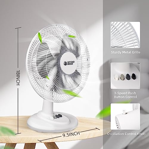 BEYOND BREEZE Oscillating Table Fan Quiet 3-Speed 12-Inch Adjustable Tilt Fan with Safety Grill, Ideal for Home, Office, Dorm - Image 2