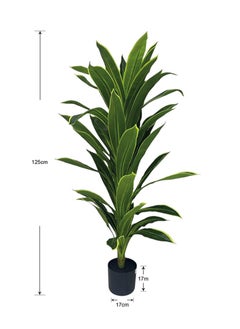 Green-8