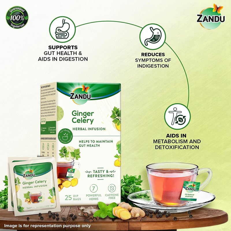 Zandu Ginger Celery Herbal Infusion, a Herbal Tea Enriched with Ayurvedic Ingredients (Pack of 25 Tea Bags X 2),37.5 grams - Image 2