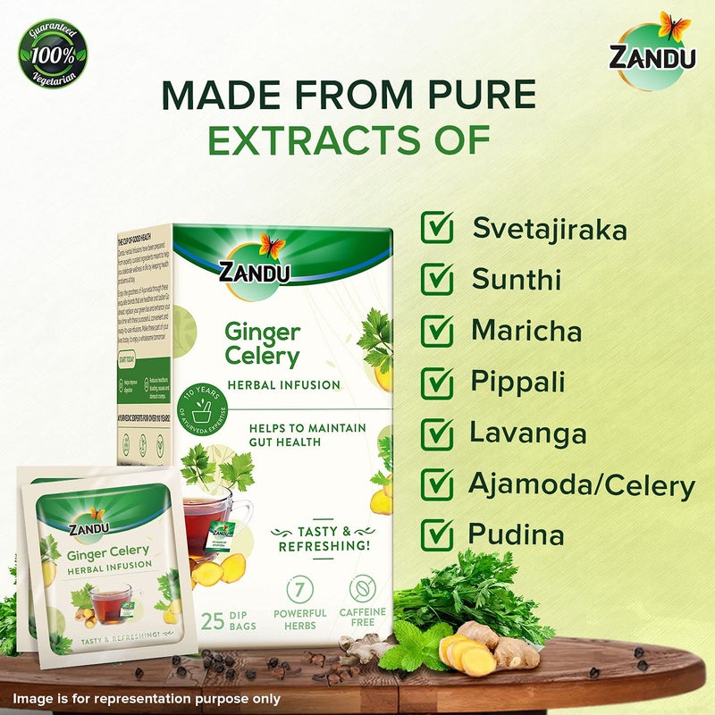 Zandu Ginger Celery Herbal Infusion, a Herbal Tea Enriched with Ayurvedic Ingredients (Pack of 25 Tea Bags X 2),37.5 grams - Image 3