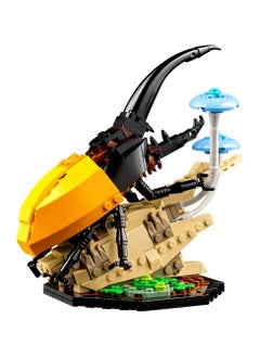 LEGO LEGO - The Insect Collection 1111 Pieces - 21342  - Image 5