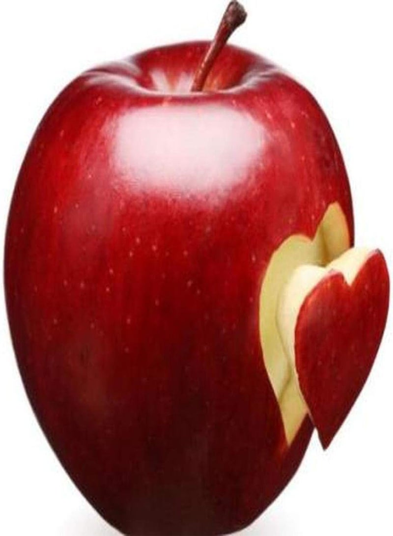 GGOOT 50Stück Apfelkerne Dekoration für den Garten im Innenhof Sorten der Einstiegsklasse gentechnikfrei pflegeleicht bringen Erfolgserlebnisse geringer Wartungsaufwand - Image 1